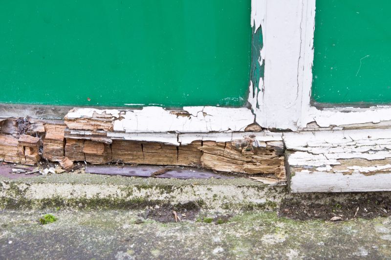 Rot and Mold Damage