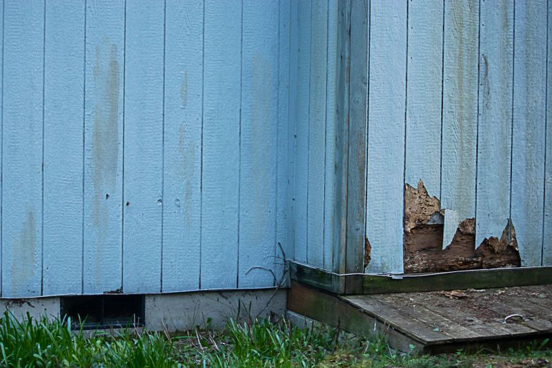 Wood Siding Repair And Painting